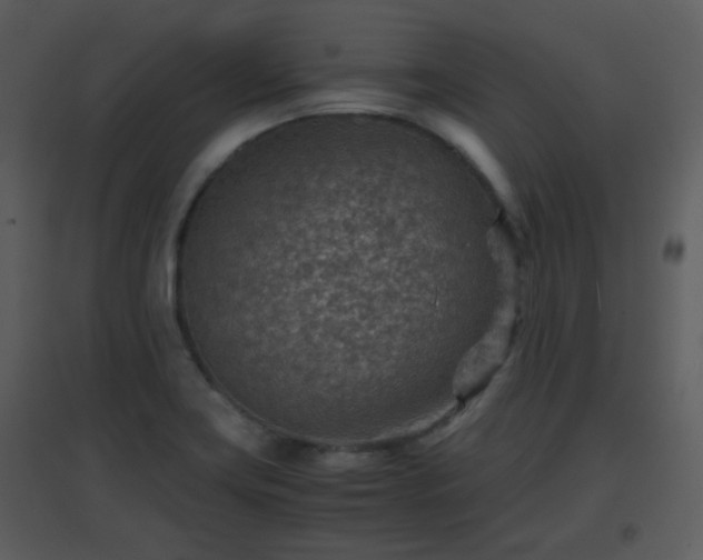 X0000096701419200802121152