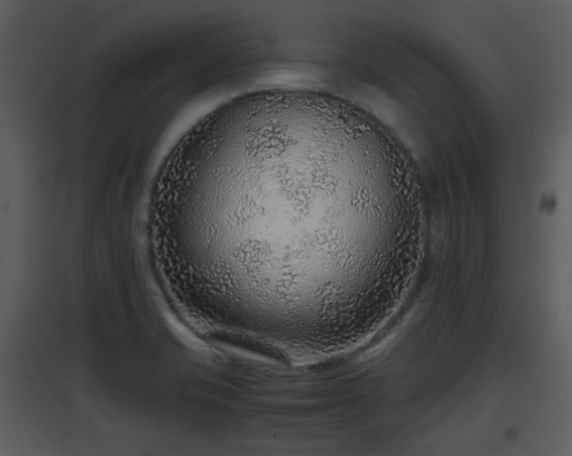 X0000096701421200802121152