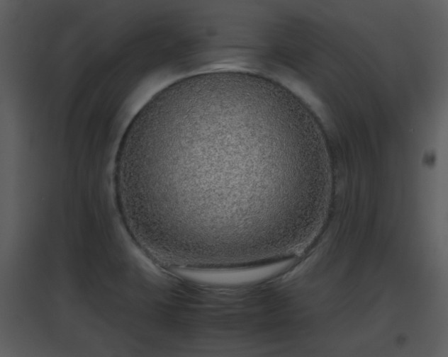 X0000096701423200802121152