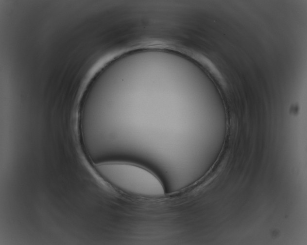 X0000096701424200802121152