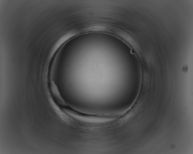 X0000096701426200802121152