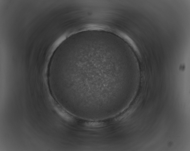 X0000096701427200802121152