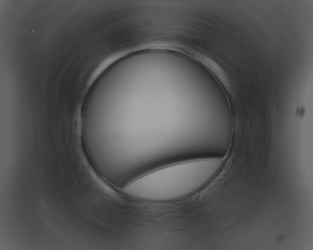 X0000096701428200802121152