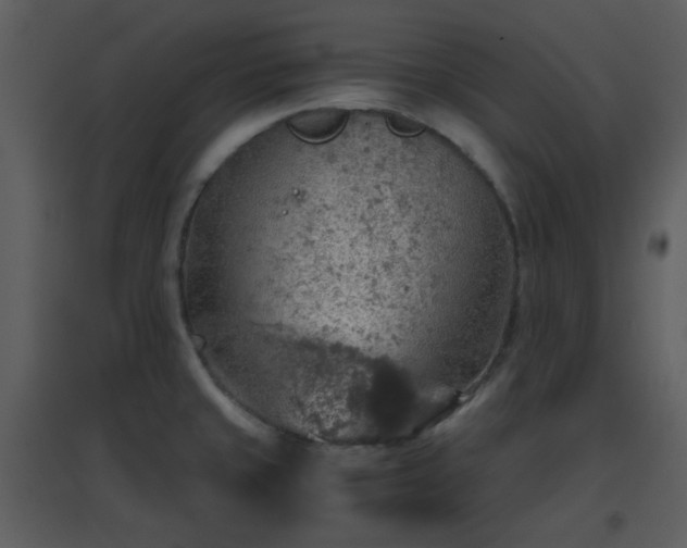 X0000096701429200802121152