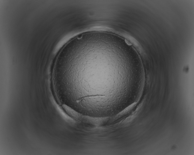 X0000096701430200802121152