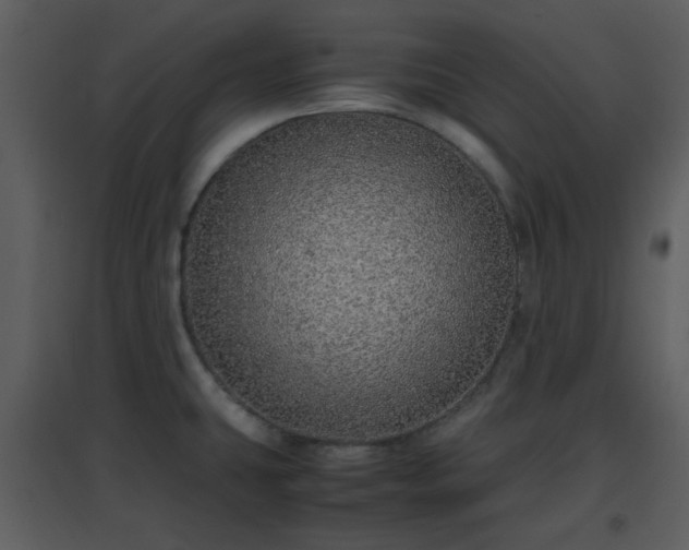 X0000096701431200802121152