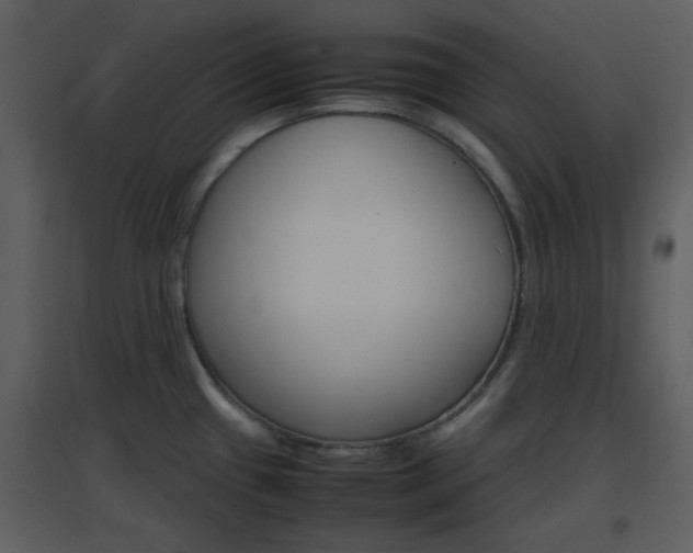 X0000096701433200802121153