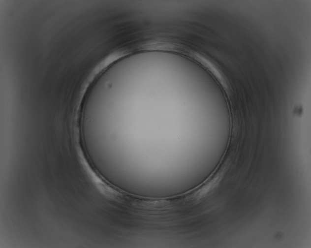 X0000096701434200802121153