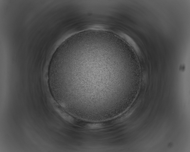 X0000096701435200802121153