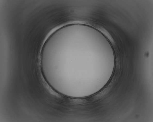 X0000096701436200802121153