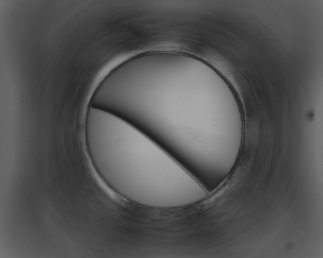 X0000096701437200802121153