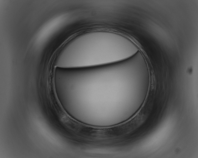 X0000096701438200802121153