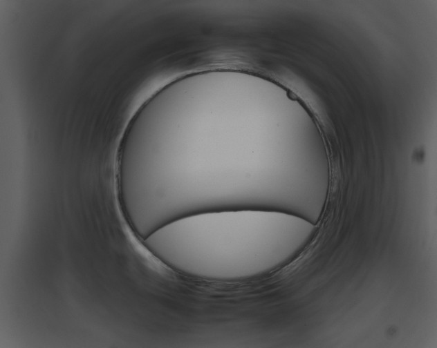 X0000096701439200802121153