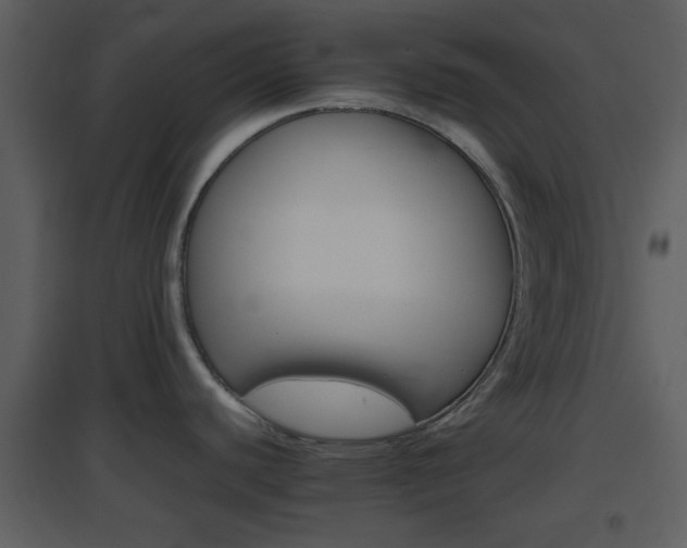 X0000096701440200802121153