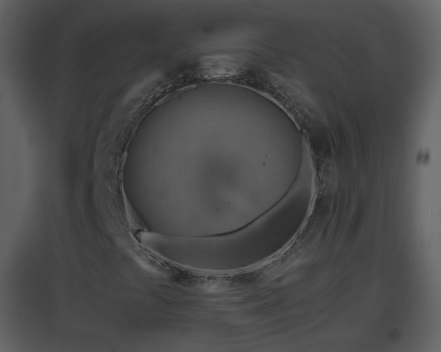 X0000096701441200802121152