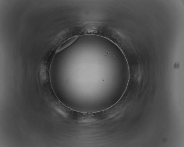 X0000096701442200802121152