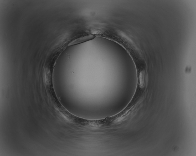 X0000096701443200802121152