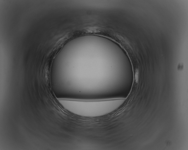 X0000096701444200802121152