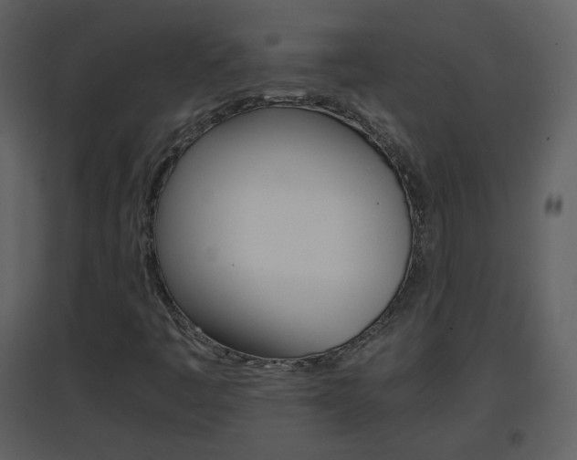 X0000096701445200802121152