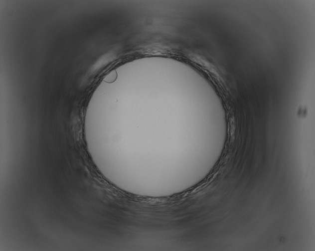 X0000096701446200802121152