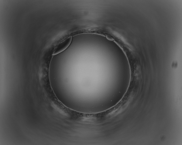 X0000096701447200802121152