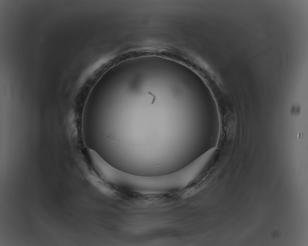 X0000096701448200802121152