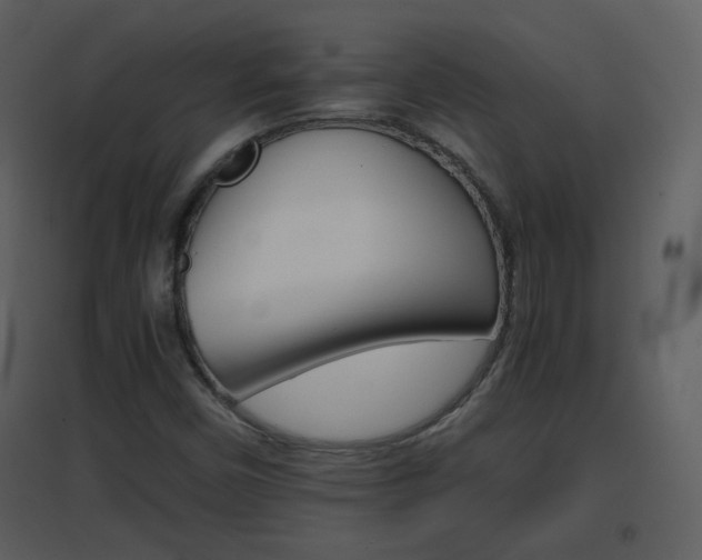 X0000096701450200802121152