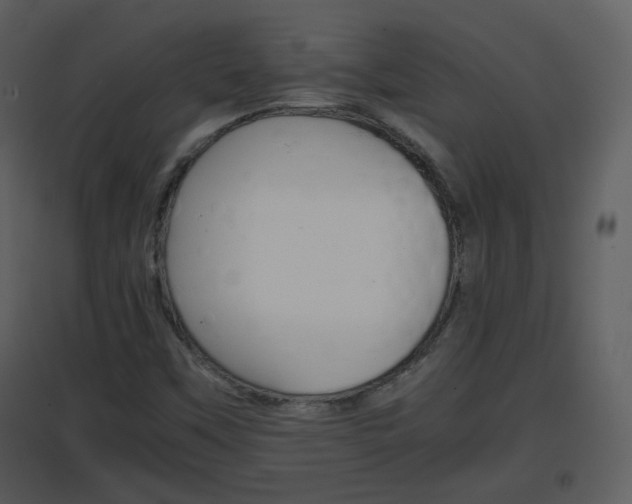 X0000096701451200802121152