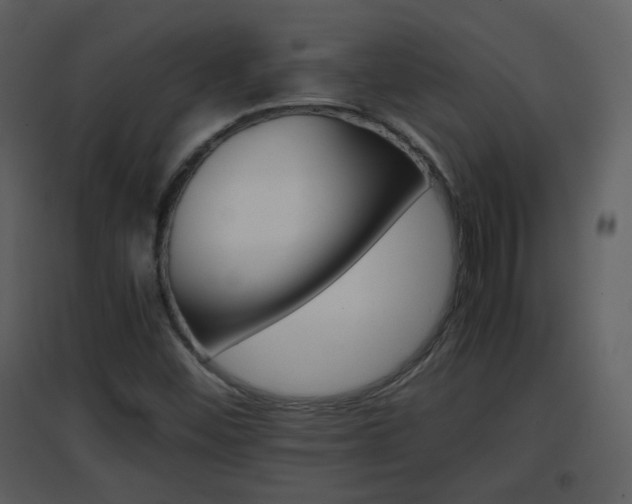 X0000096701452200802121152