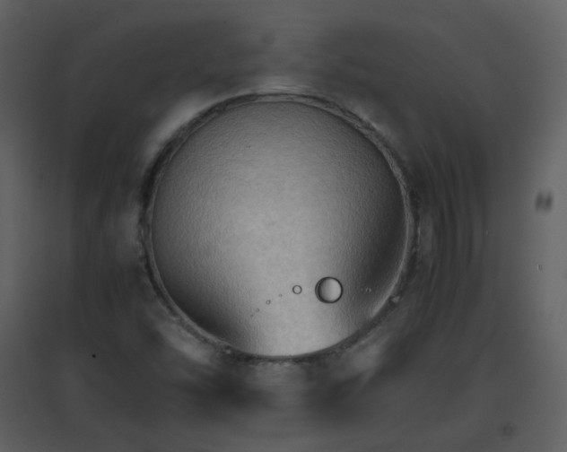 X0000096701454200802121152
