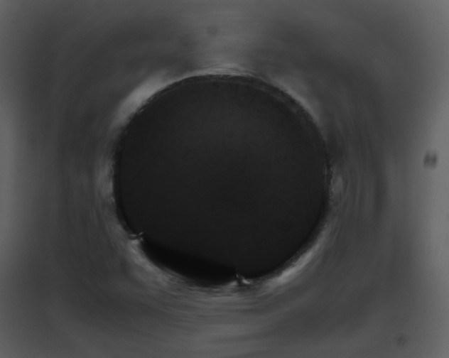 X0000096701455200802121152