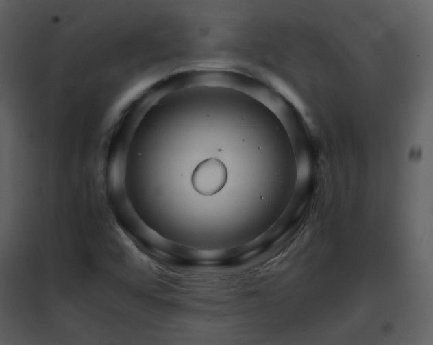 X0000096701456200802121152