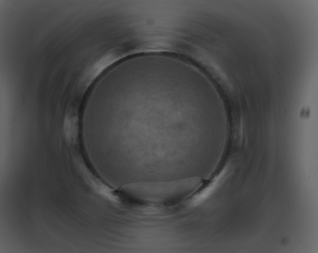 X0000096701457200802121152