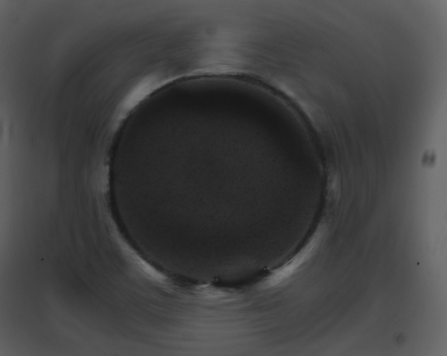 X0000096701459200802121152
