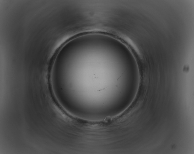 X0000096701460200802121152