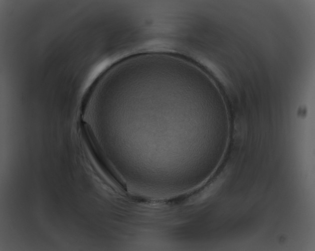 X0000096701461200802121152