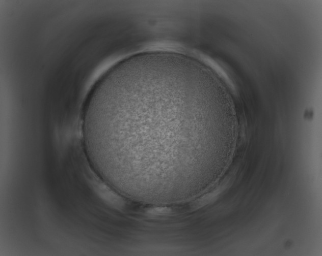X0000096701462200802121152