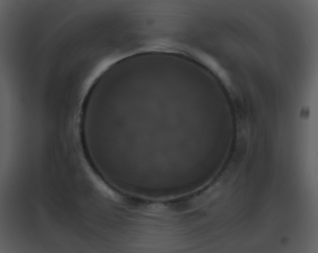 X0000096701463200802121152