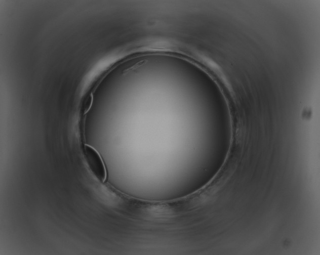 X0000096701464200802121152