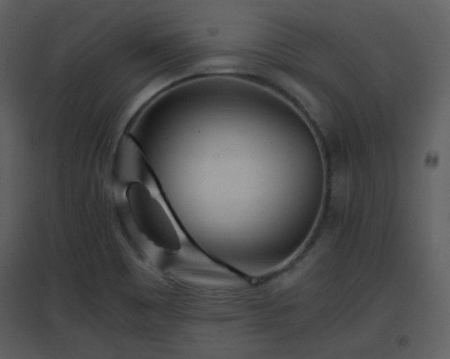 X0000096701465200802121152