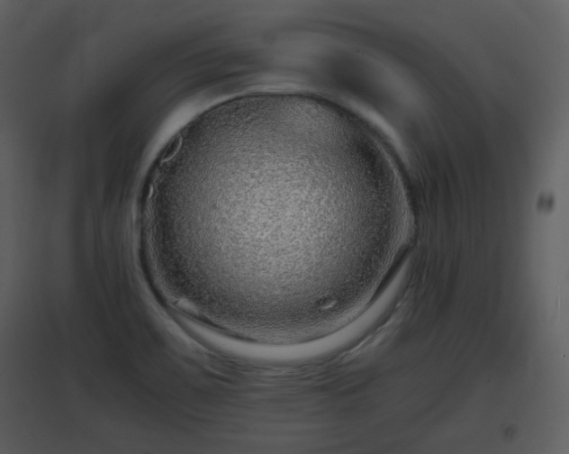X0000096701467200802121152