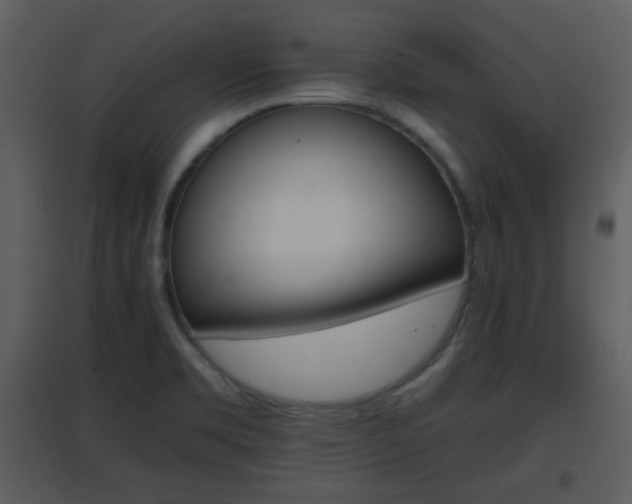 X0000096701469200802121152