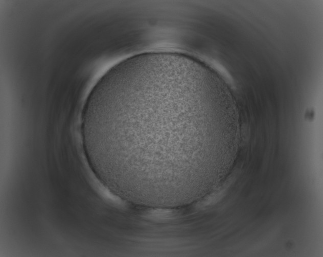 X0000096701470200802121152