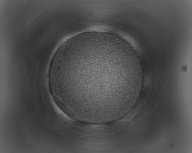 X0000096701471200802121152