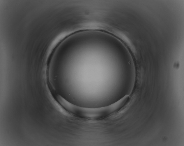 X0000096701472200802121152