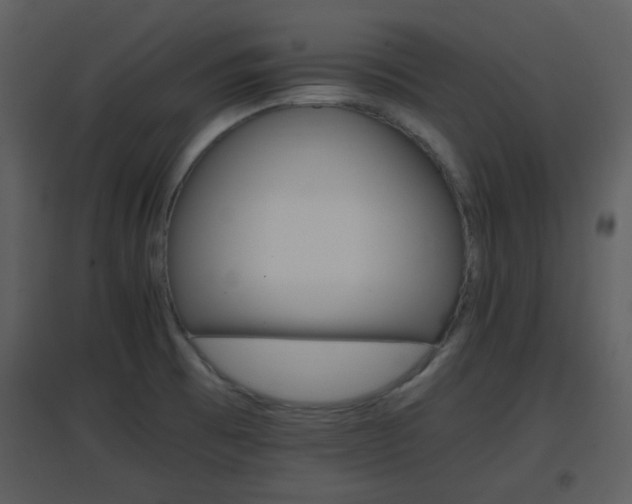 X0000096701473200802121152