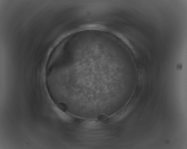X0000096701474200802121152