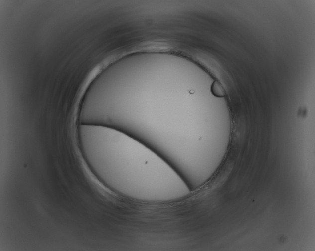 X0000096701475200802121151