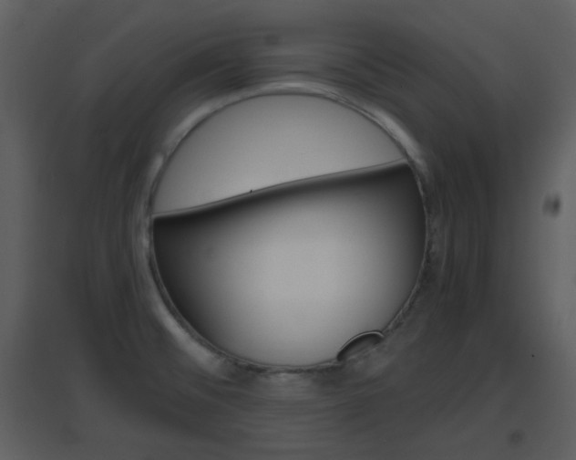 X0000096701476200802121151