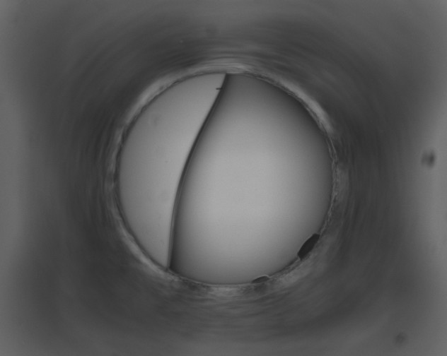 X0000096701477200802121151